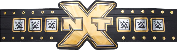 Especially Since There Are Six Wwe Brand Marks Are - Wwe Nxt Championship Toy Title Belt (695x251), Png Download