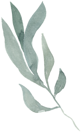 A La Carte - Russian Olive (299x500), Png Download