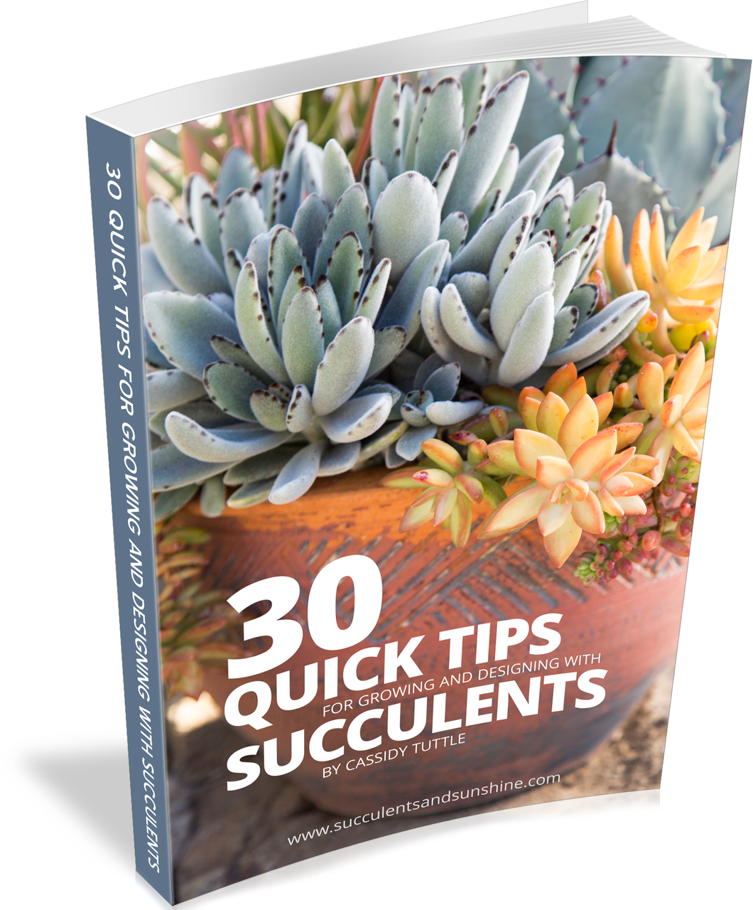 30 Quick Succulent Tips - 30 Quick Tips For Growing And Designing (1060x1280), Png Download