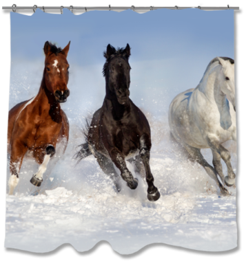 Horse Herd Collection Shower Curtain Shower Curtains- - Horse (394x394), Png Download