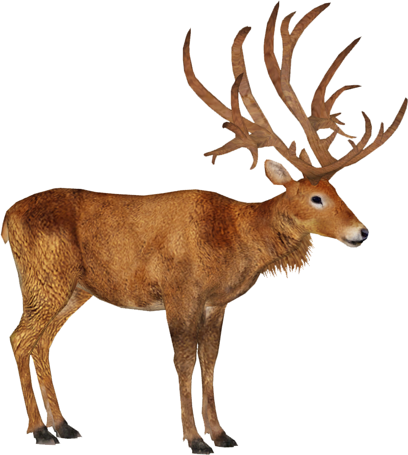 Schomburgk's Deer M - Schomburgk's Deer Png (890x890), Png Download