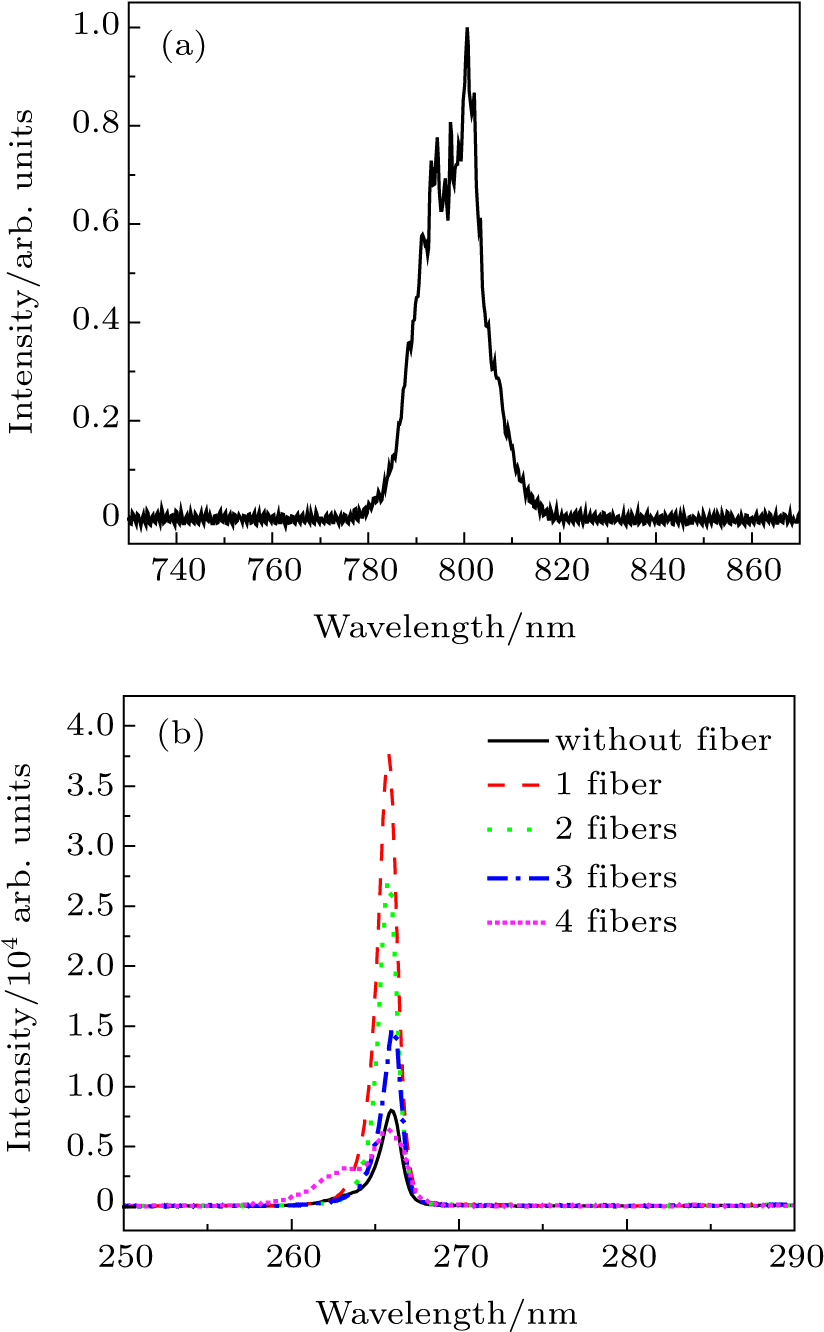Intensity Of Th Emission Disturbed By Thin Copper Fibers - Diagram (836x1331), Png Download