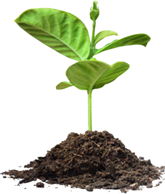 Nurture Little Green Sprout In Dirt - Save Tree Png (330x388), Png Download
