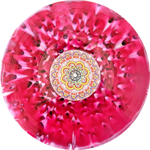 Show Me A Dinosaur - Copyright (500x500), Png Download