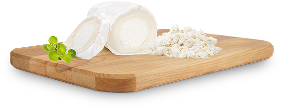 Cheese Png Image Hd - Cheese Png (600x300), Png Download