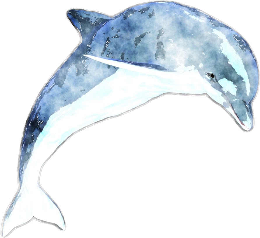 Watercolor Dolphin By Lavandalu On Deviantart - Zazzle Adorable Dolphin -personalised Passport Holder (919x870), Png Download