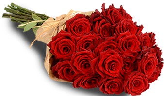 Red Roses - Furniture (382x382), Png Download