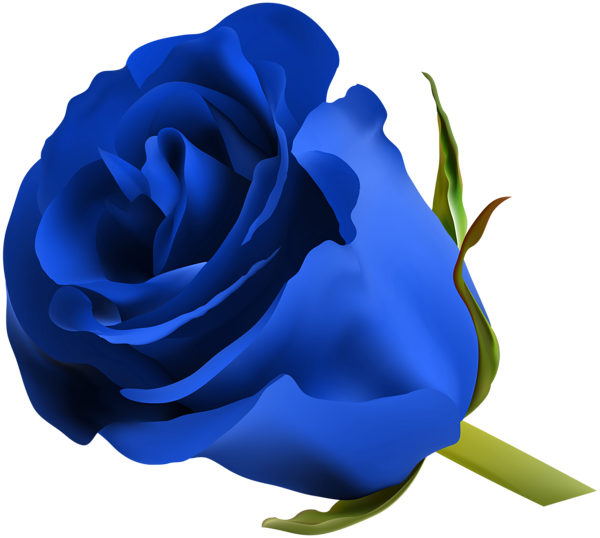 Pink Rose Png, Purple Roses, Make Pictures, Favorite - Blue Rose Png (600x538), Png Download