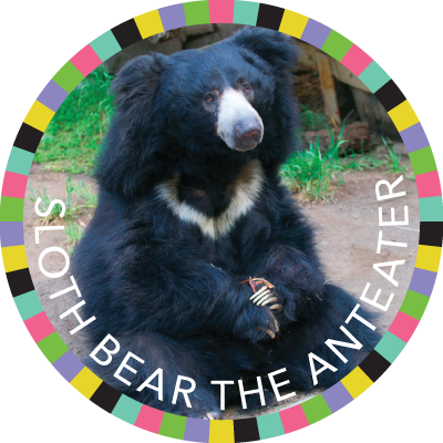 Sloth Bear The Anteater Image - Sloth Bear Ugly (400x400), Png Download
