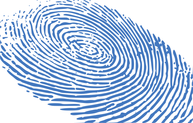 Finger Print Services We Offer - Fingerprint Png Blue Image Transparent Background (625x400), Png Download