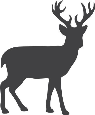 Black And White Deer Png (772x526), Png Download