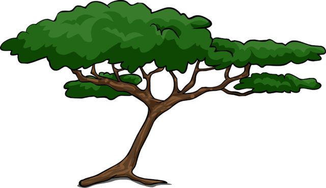 Acacia Tree - African Tree Cartoon (640x369), Png Download