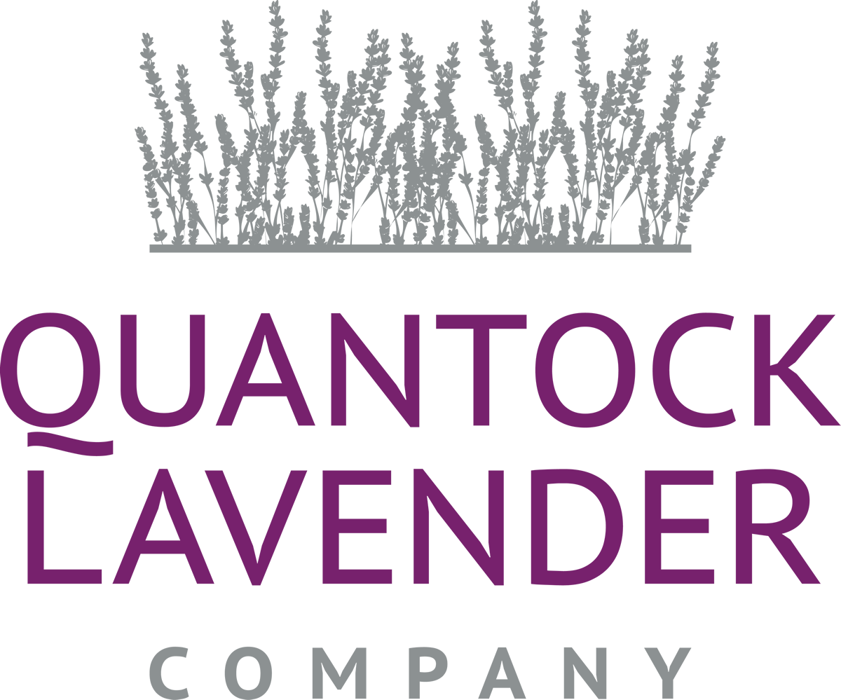 Quantock Lavender Company Limited - Under Construction (1200x999), Png Download