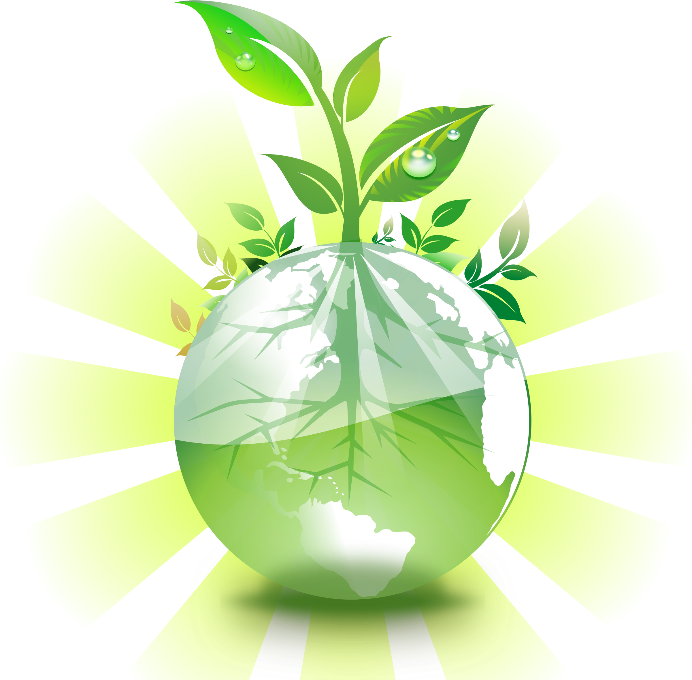 Clipart Green Earth - Green Earth Png (800x800), Png Download