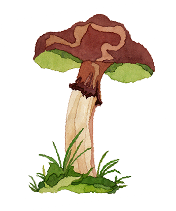 All My Best - Illustration (1000x574), Png Download