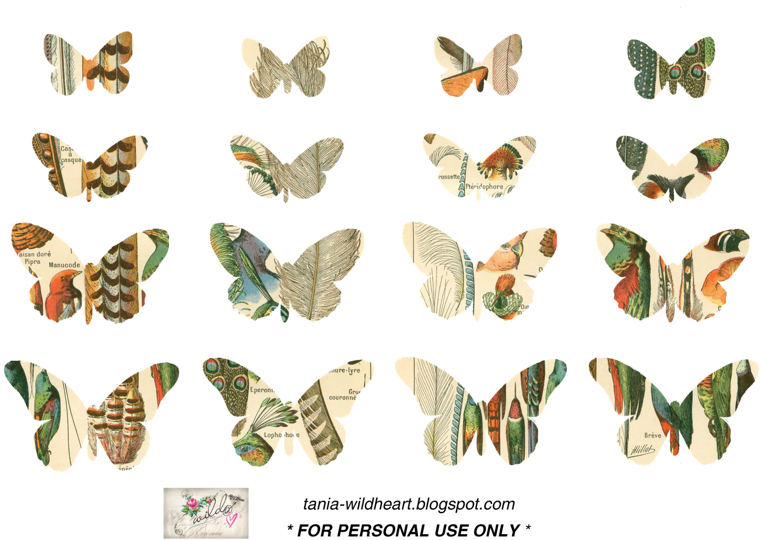You Want To Print Them And Use In Scrapbooking Etc - Vanessa Cardui (1600x1131), Png Download