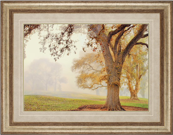 Oak Grove - Home Decorators Oak Grove Wall Art (550x550), Png Download