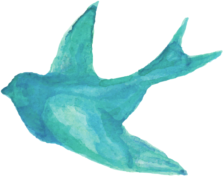 Experts With A Passion - Hummingbird (800x800), Png Download