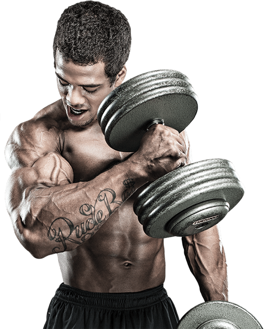 About1 - Gym Workout Imges Png (517x644), Png Download