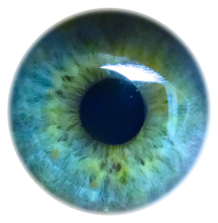 Eye Pupil Png Background Image - Hypnosis: How To Hypnotize Others Quickly And Efficiently (1280x854), Png Download