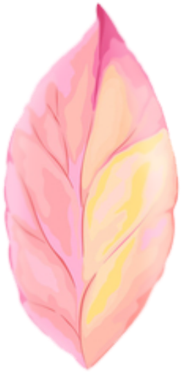 Cute Leaves Pastel Spring Png Overlay Edits Edit Kpoped - Maple (1024x1024), Png Download