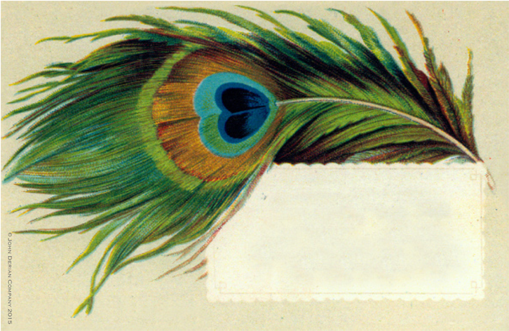 Peacock Feather Peacock Feather - Shrimad Bhagvat Geeta Png (500x500), Png Download