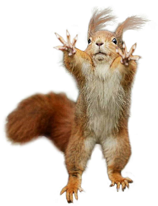 Cutout - Chipmunk (668x864), Png Download