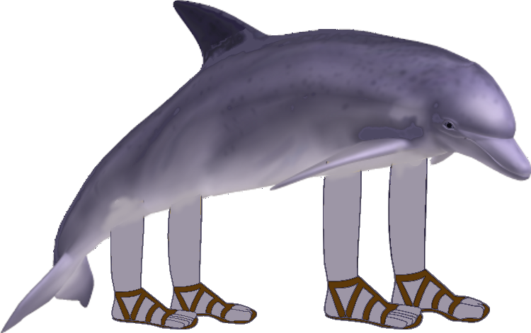 Dolphin With Arms And Legs (750x471), Png Download