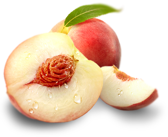 White Peach - Scentsy Scent Descriptions Uk (553x453), Png Download