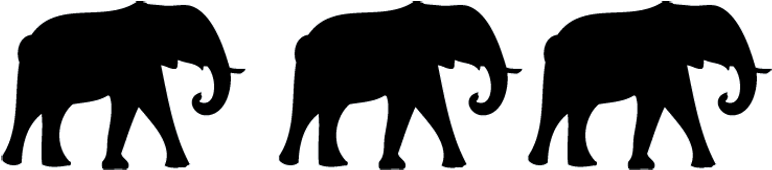 There Are 3 Elephants In The Room - 3 Elephants (800x199), Png Download