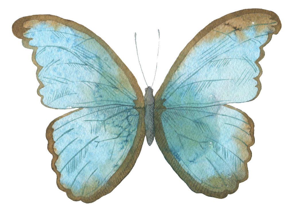 Blue Butterfly Watercolor Transparent Decorative Pattern - Butterfly (1024x763), Png Download