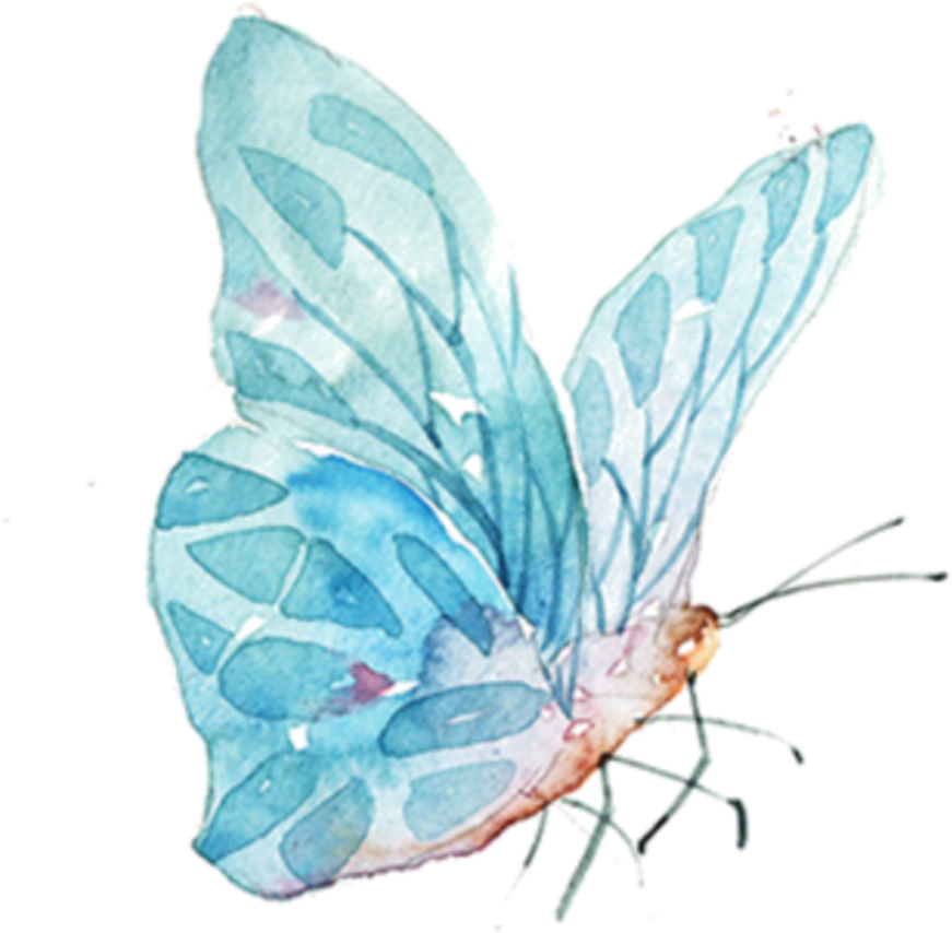Watercolor Butterfly Png (871x854), Png Download