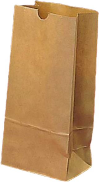 163 Trading Inc Kraft Paper Favor Bags (12) (600x600), Png Download