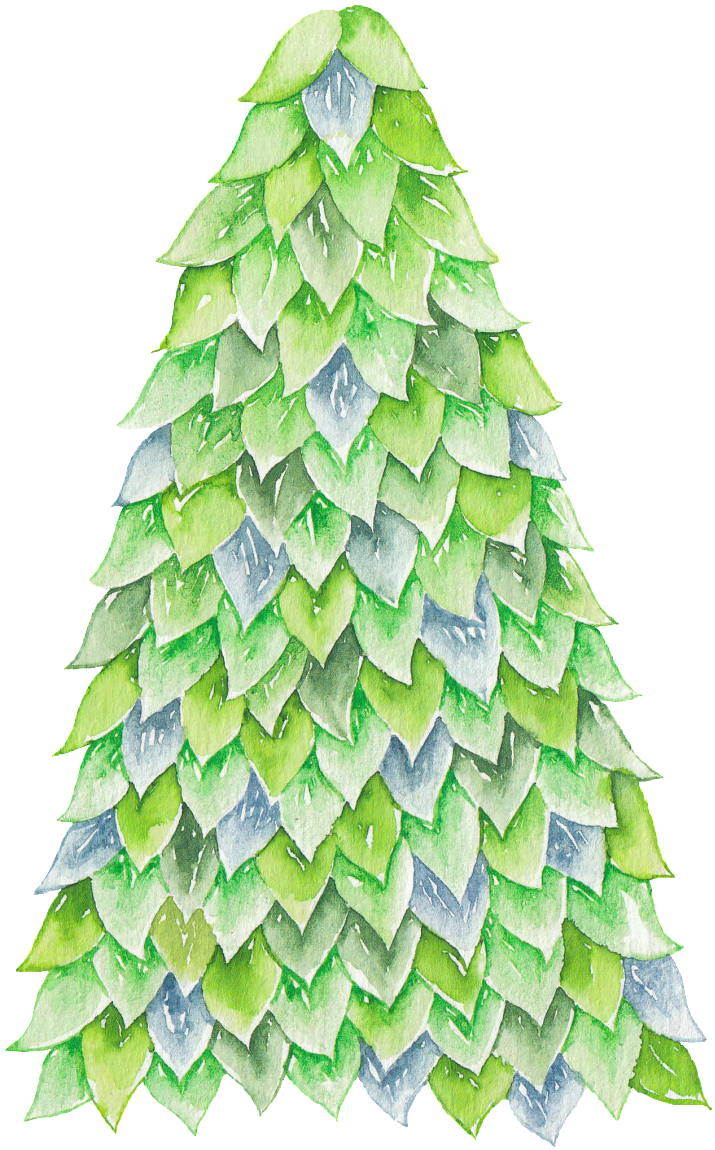 Hand Painted Realistic Gradient Pine Png Transparent - Christmas Tree (1024x1411), Png Download