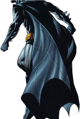 Catwoman Png Transparent Images - Batman Back Png (640x480), Png Download