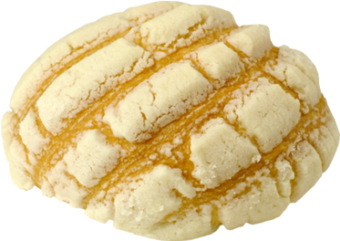 Concha Png (530x377), Png Download