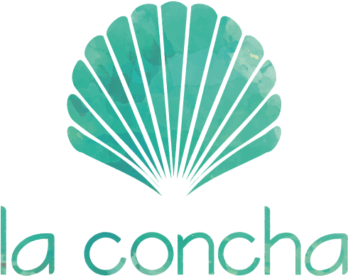 Minha Conta - Concha Png (500x398), Png Download
