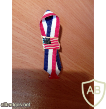 Us Flag Pin Ribbon - Australia (370x370), Png Download