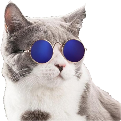 Adorable Hippie Cat Sunglasses - Kitty Glasses (450x450), Png Download