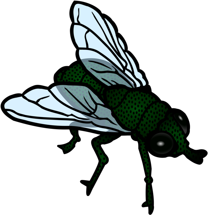 Insect Housefly Flight Download - Flies Clipart (734x750), Png Download