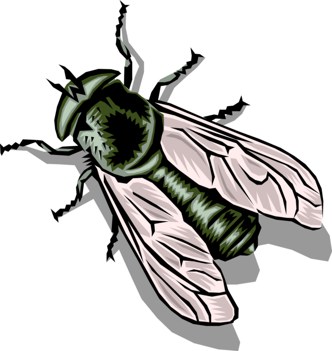 Vector Illustration Of Common Housefly Insect Fly - Housefly (661x700), Png Download
