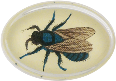 Fly 156 Fly - Honeybee (500x500), Png Download