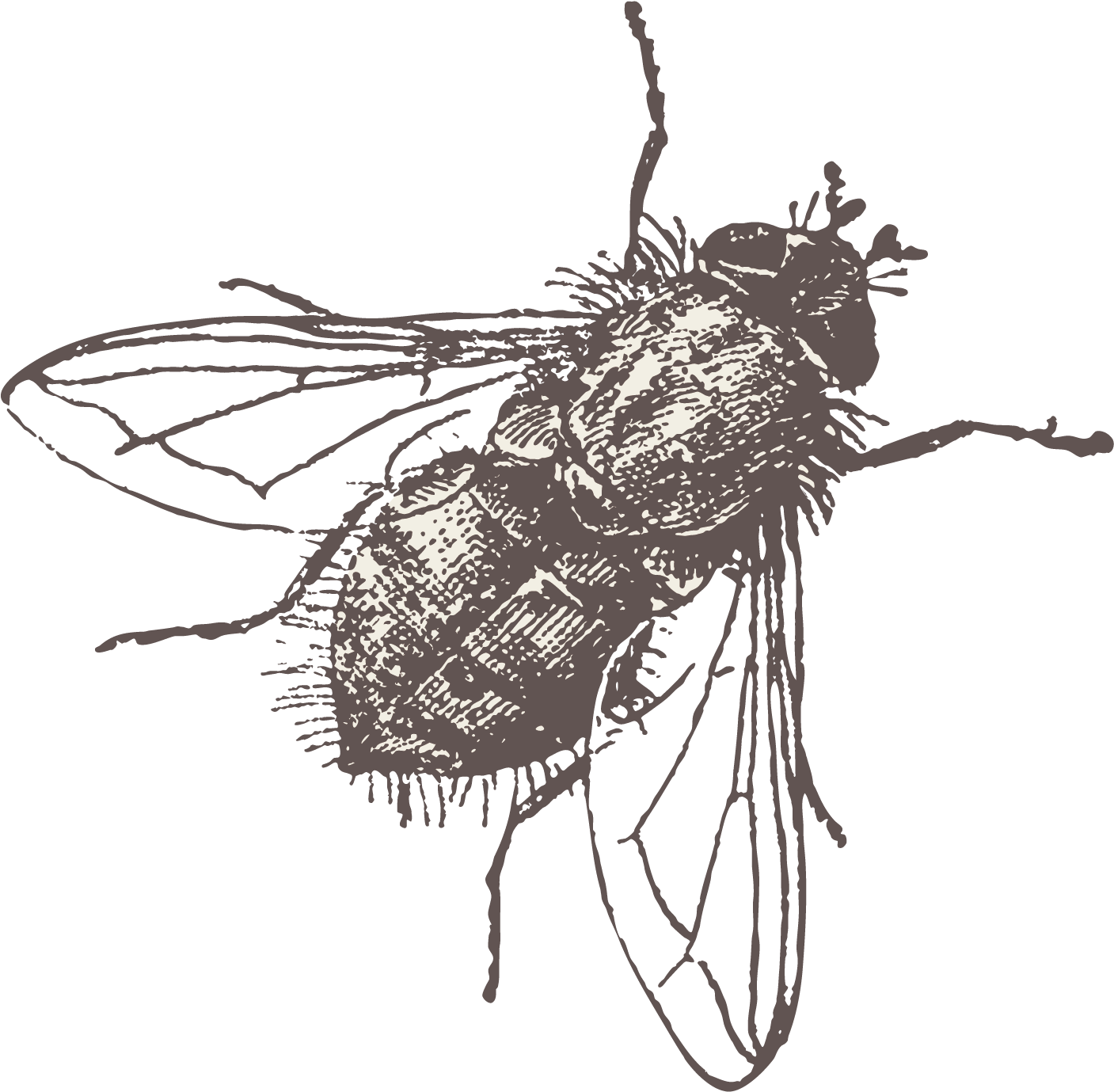 Fly Vector 23622362 Transprent Png Free Download - Help Me- For White Twin Duvet (2362x2362), Png Download