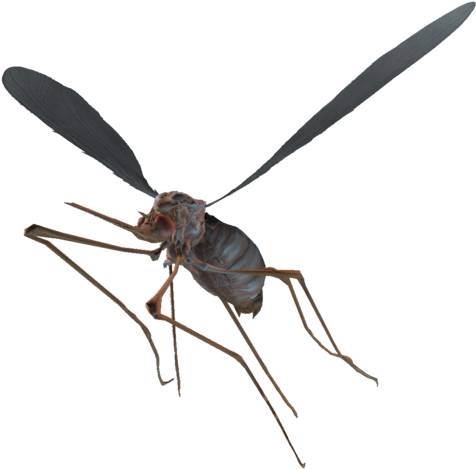 Bloodbug - Fallout 4 Insects (499x480), Png Download