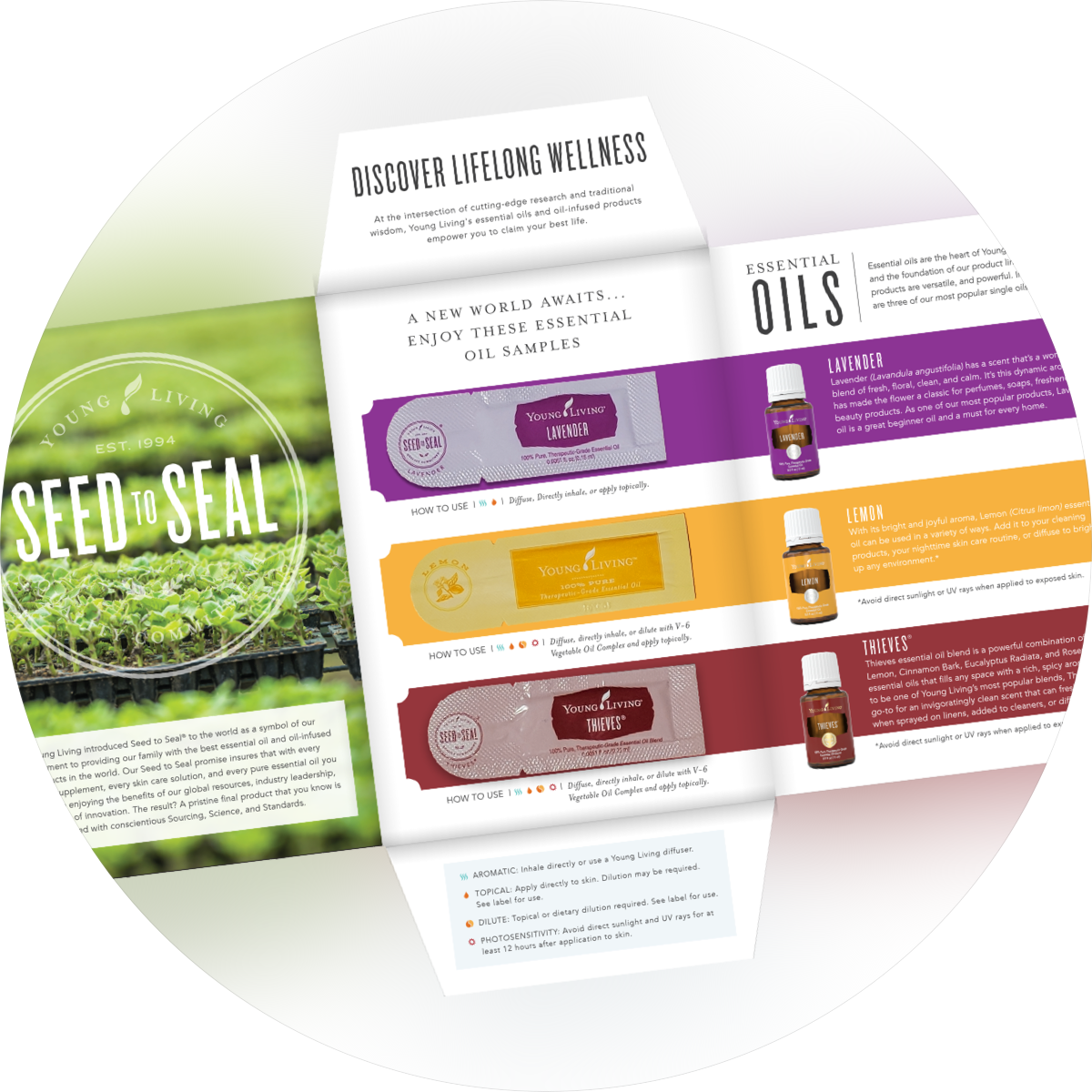 Young Living Essential Oils - Label (1200x1200), Png Download