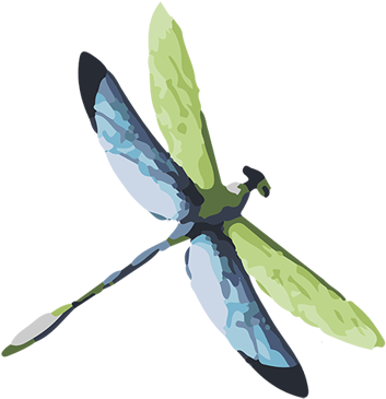 Home - Obraz Na Zeď, Dřevěný Dragon-fly 29x29 (600x598), Png Download