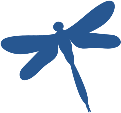 Dragonfly (701x526), Png Download