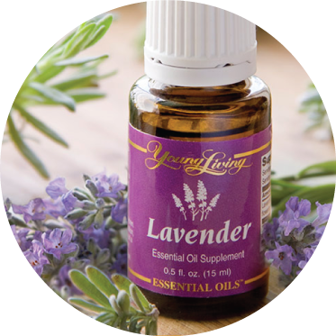 They Own Their Own Farms And Distill Without Using - Lavender Essential Oil By Young Living - 5ml (373x373), Png Download