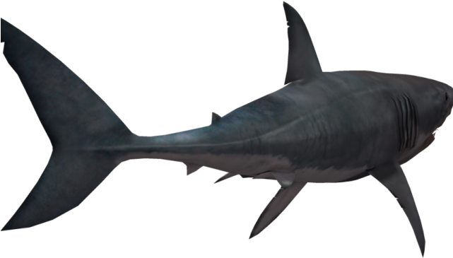 Great White Shark Clipart Shark Tank - Shark Transparent Png (640x480), Png Download