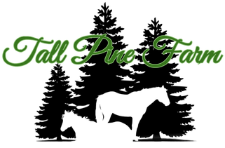 Pine Trees Clipart Black And White (400x300), Png Download